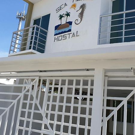 Sea Horse Apartment Salinas  Exterior photo